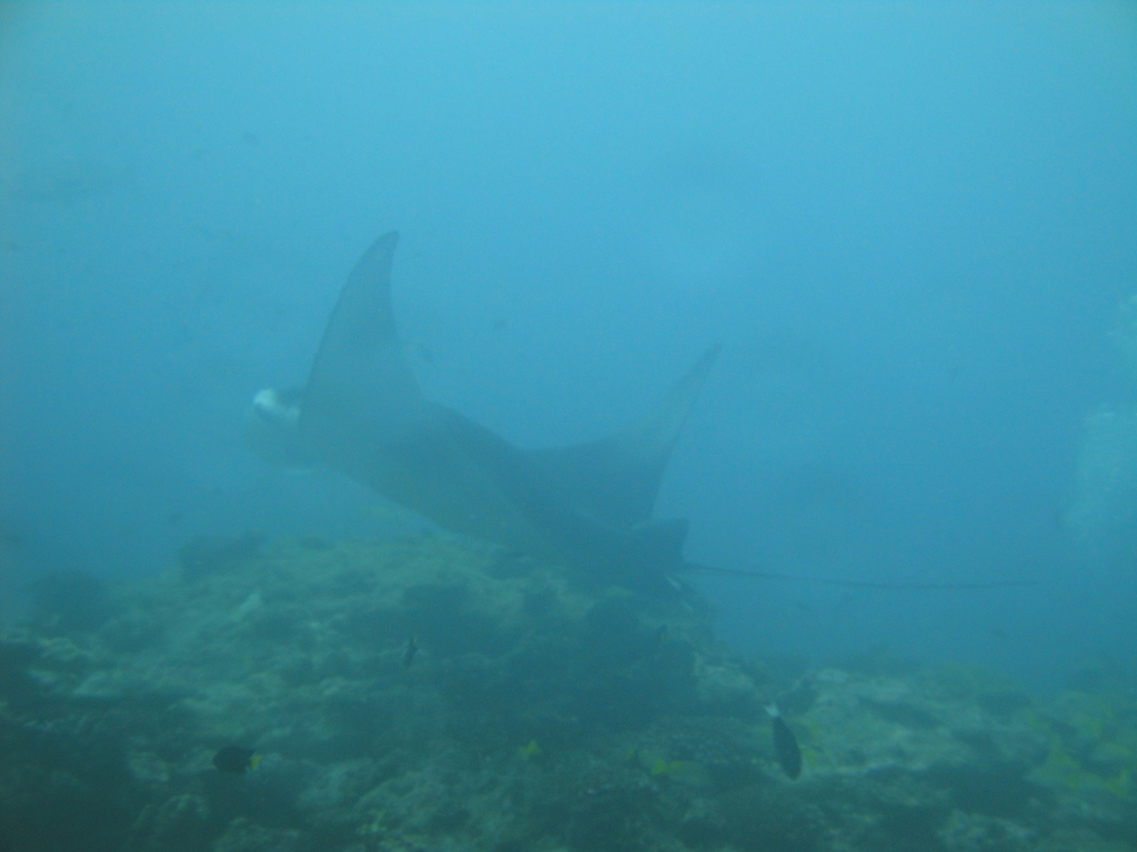 DSC00795.JPG