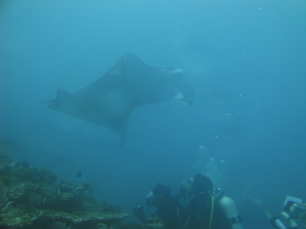DSC00852.JPG