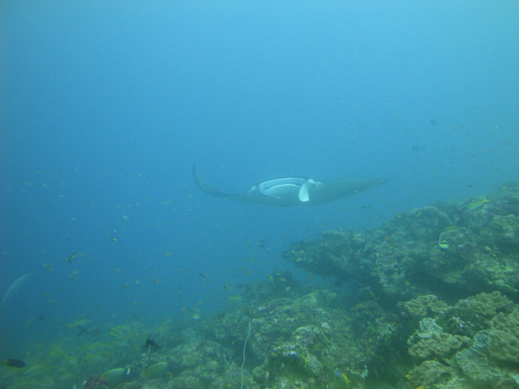 DSC00895.JPG
