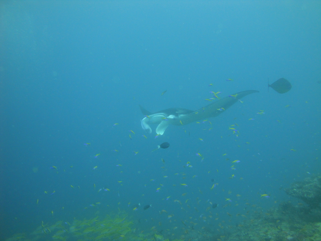 DSC00945.JPG