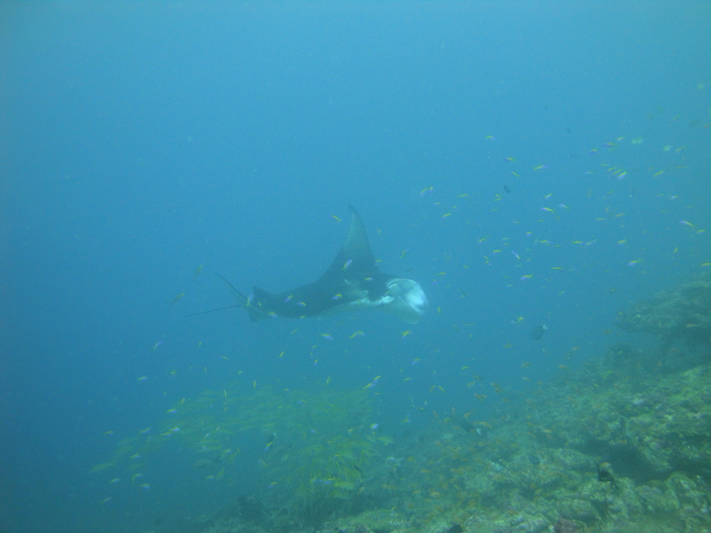 DSC00954.JPG