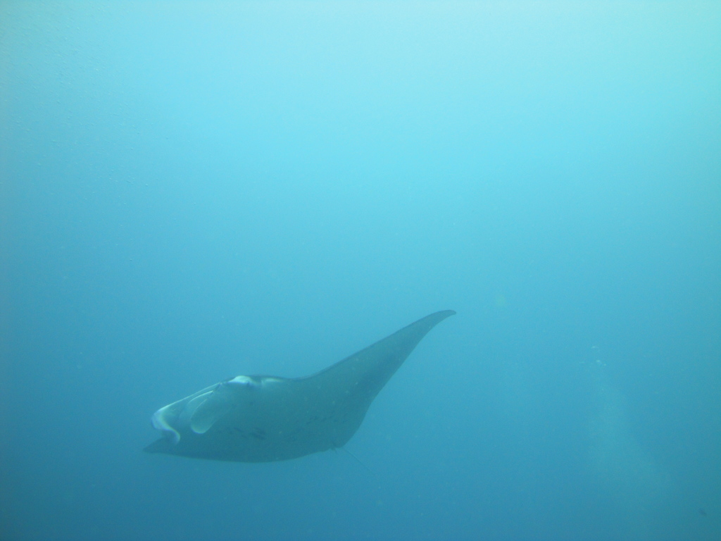 DSC00972.JPG