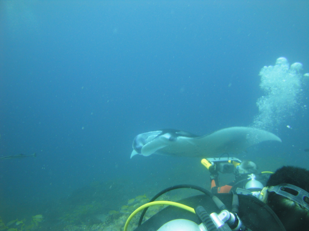 DSC00985.JPG