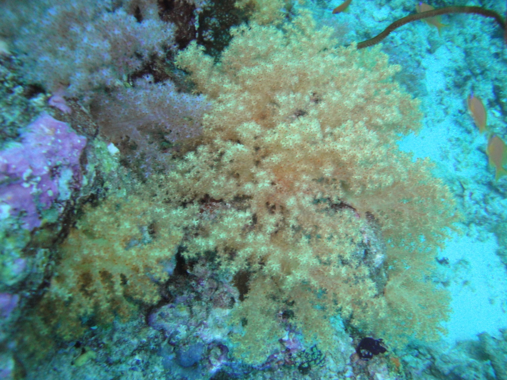 DSC01163.JPG