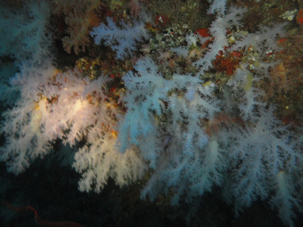 DSC01201.JPG