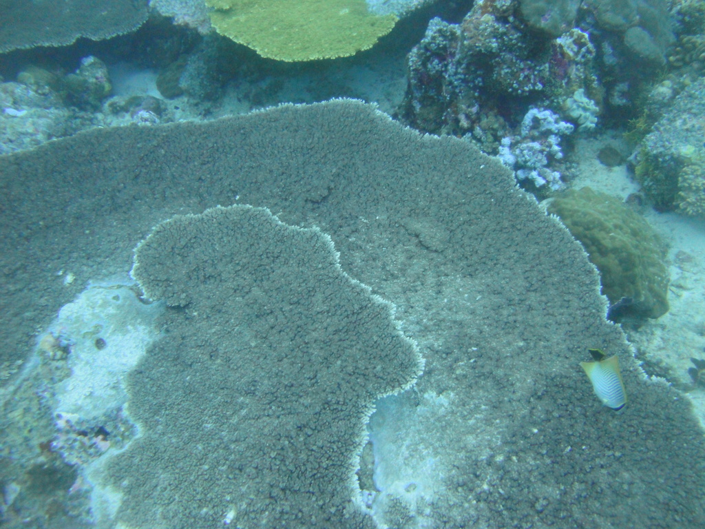 DSC01224.JPG