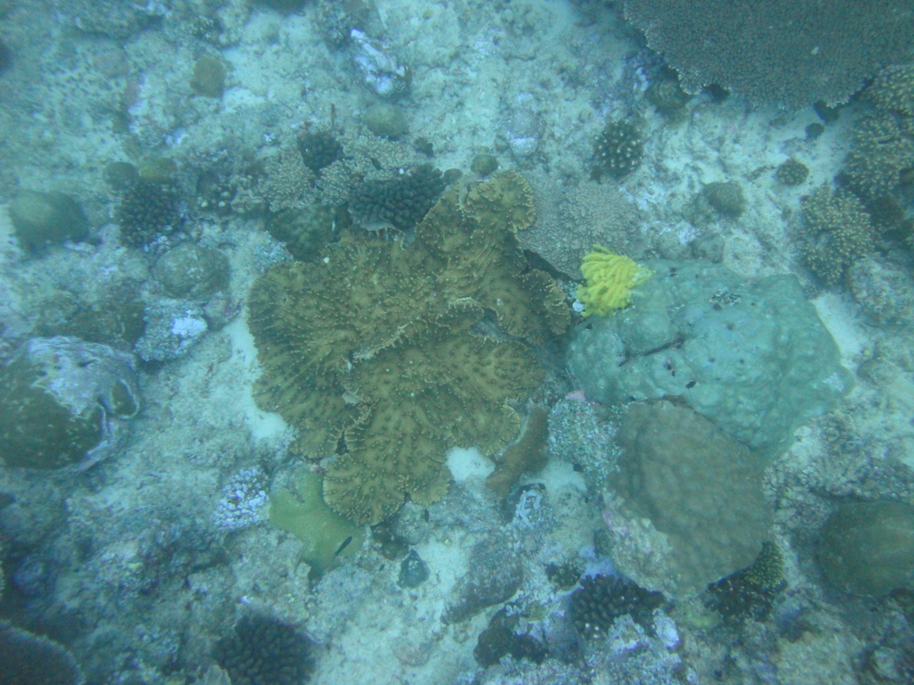DSC01225.JPG