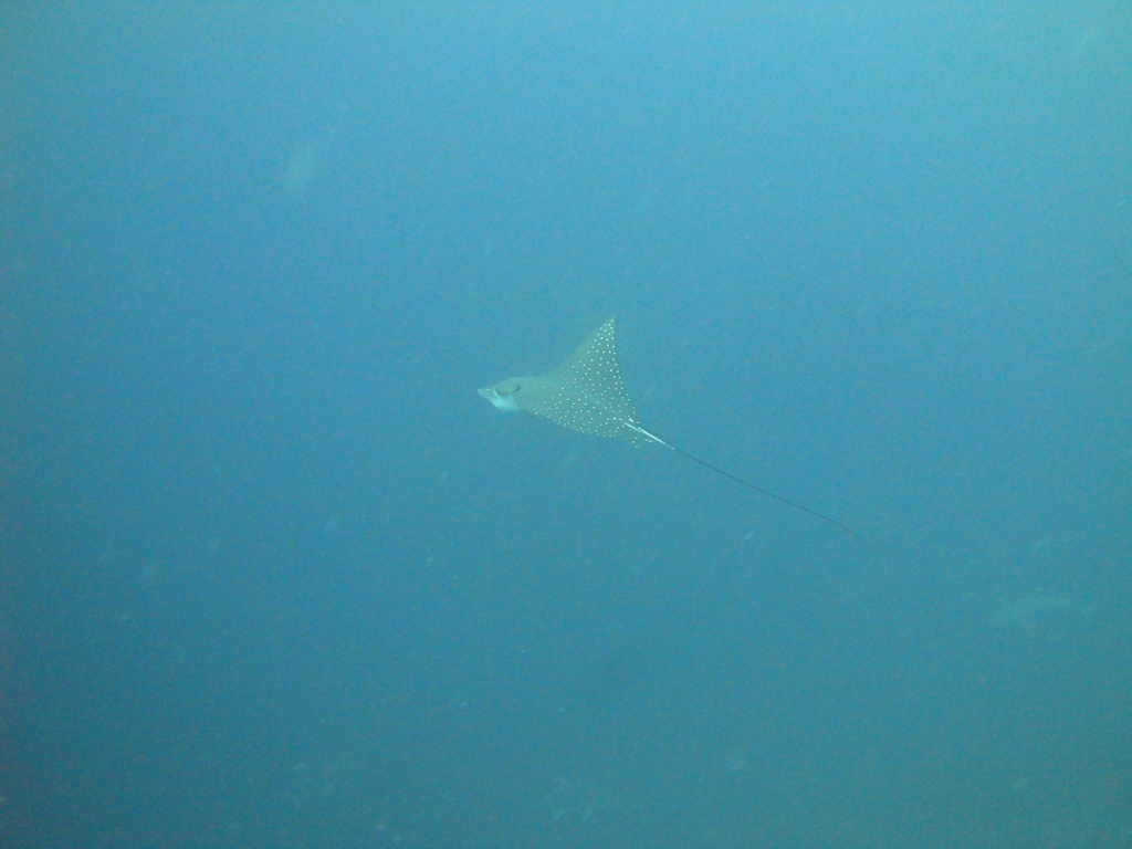 DSC01227.JPG