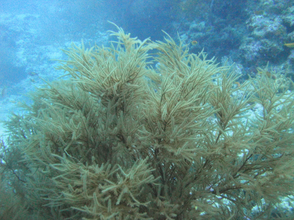 DSC01235.JPG