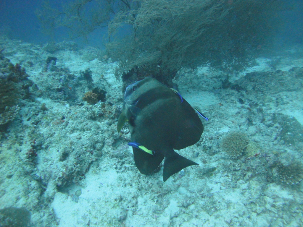 DSC01238.JPG