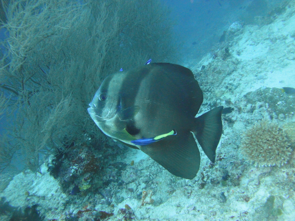 DSC01239.JPG