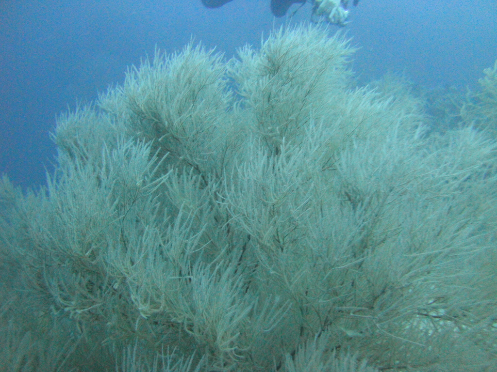 DSC01240.JPG