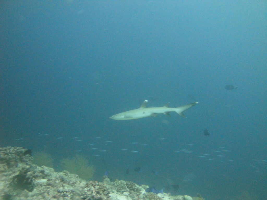 DSC01249.JPG