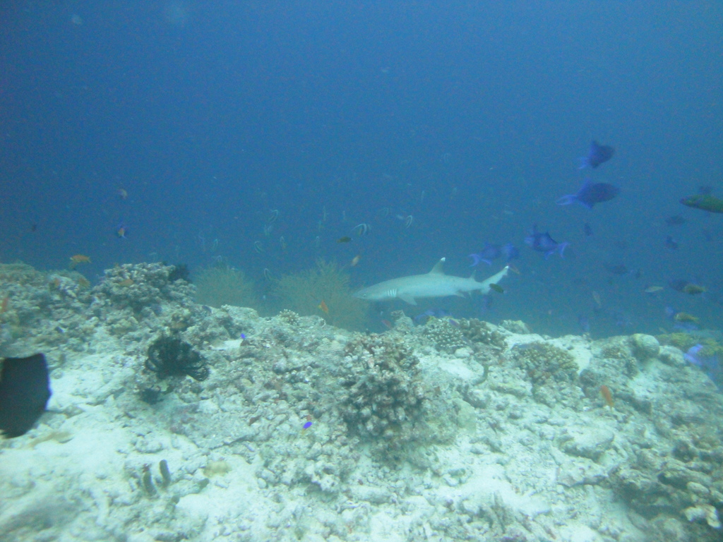 DSC01250.JPG