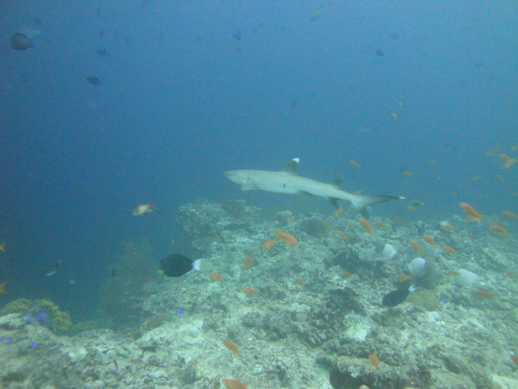DSC01257.JPG