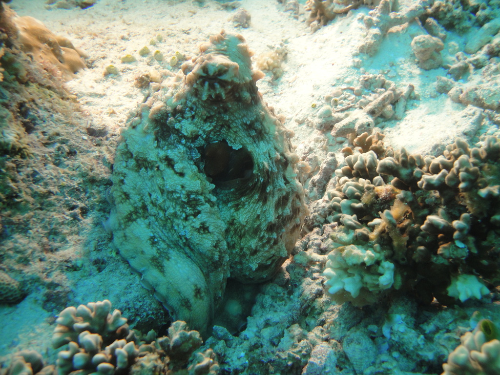 DSC01264.JPG