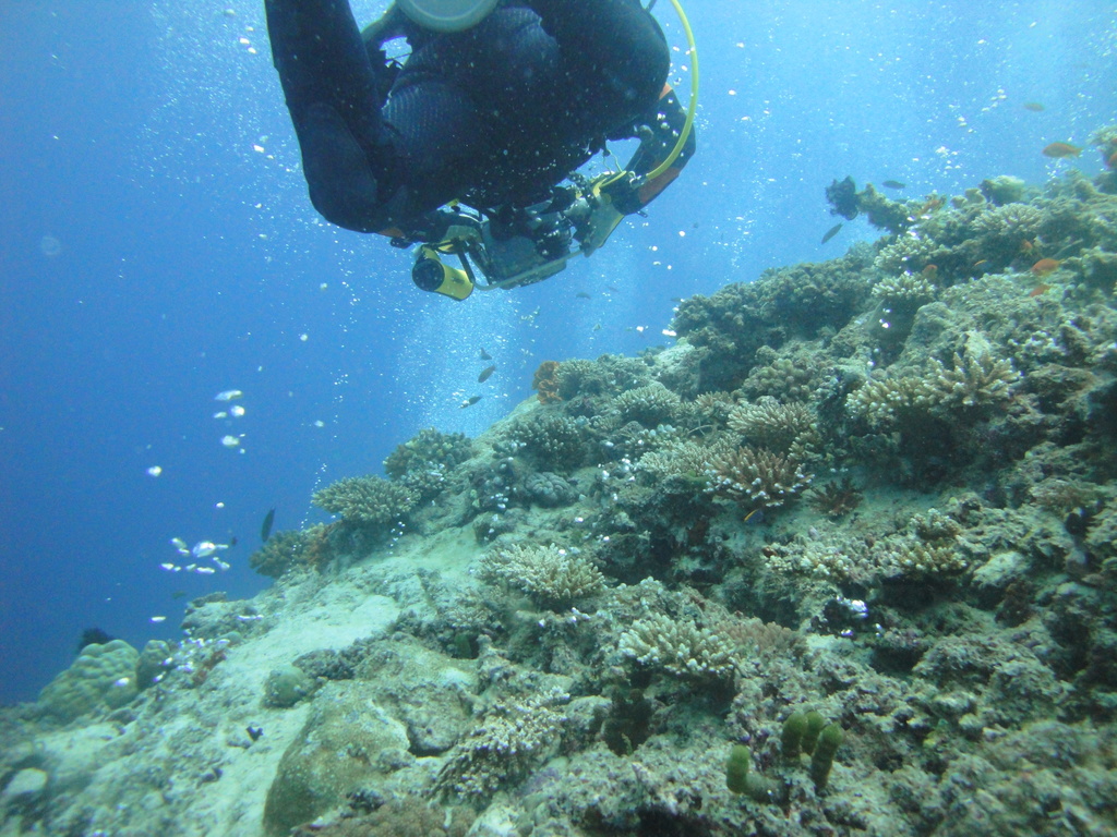 DSC01274.JPG