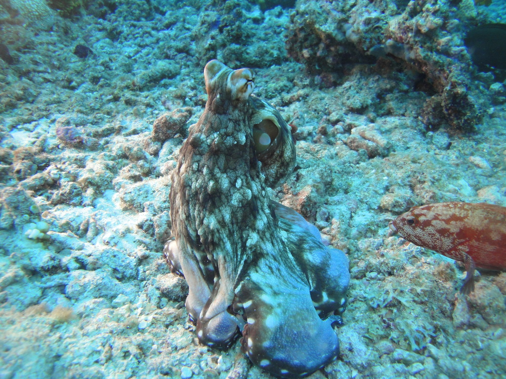 DSC01283.JPG