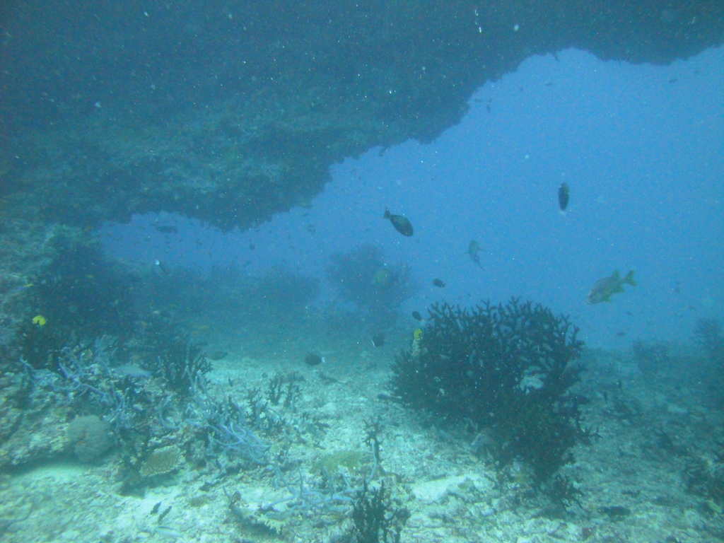DSC01288.JPG
