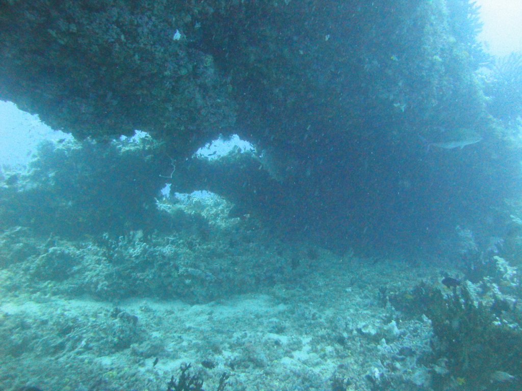 DSC01290.JPG