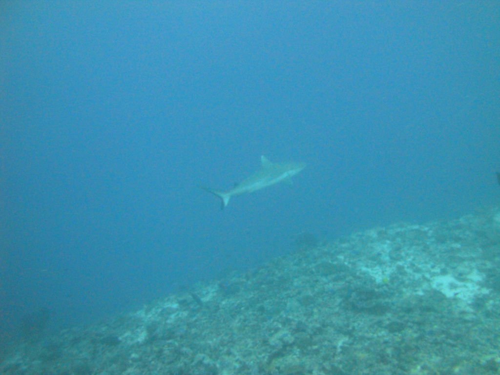 DSC01321.JPG