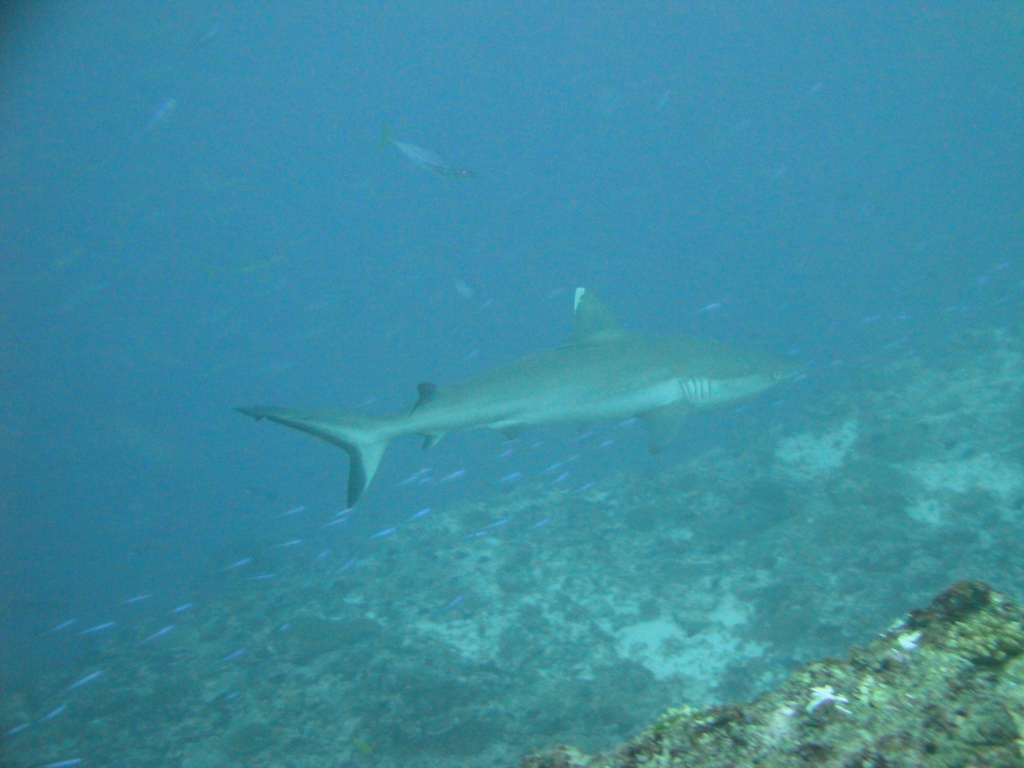 DSC01324.JPG