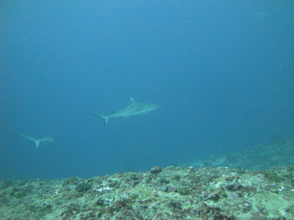 DSC01329.JPG