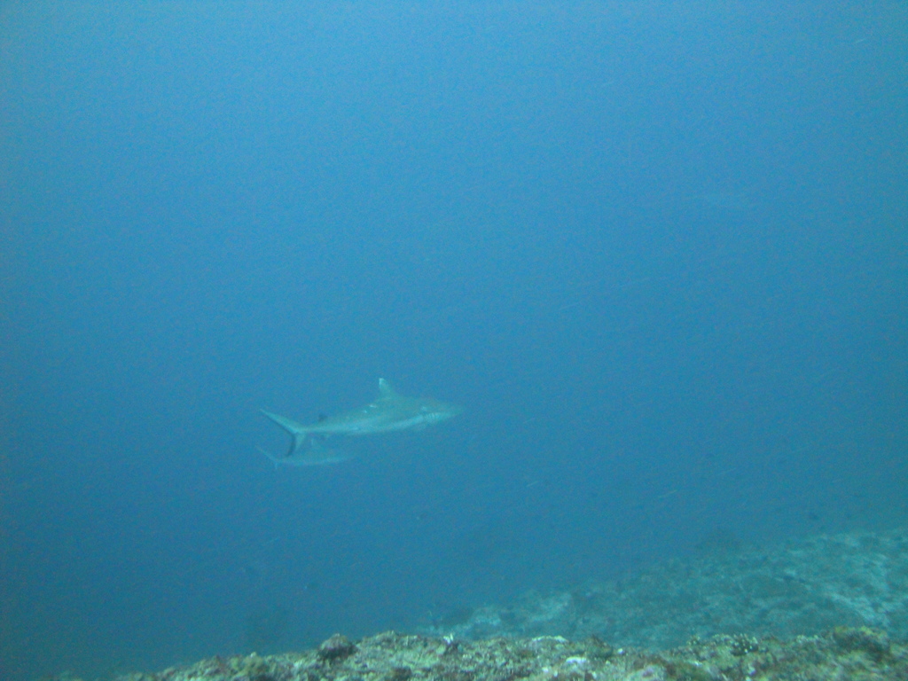 DSC01331.JPG