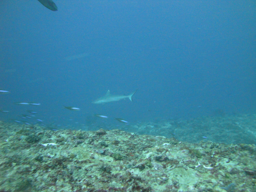 DSC01339.JPG
