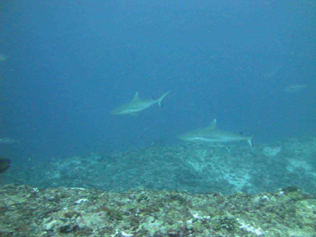 DSC01344.JPG