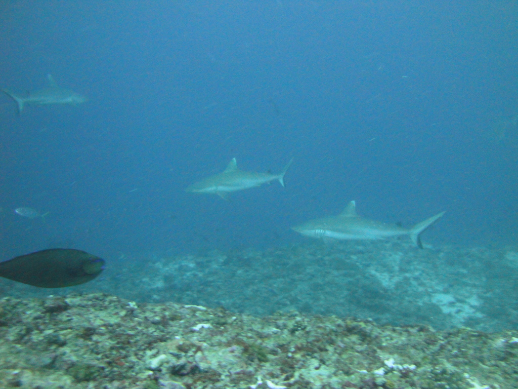 DSC01345.JPG