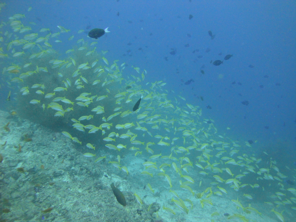 DSC01366.JPG