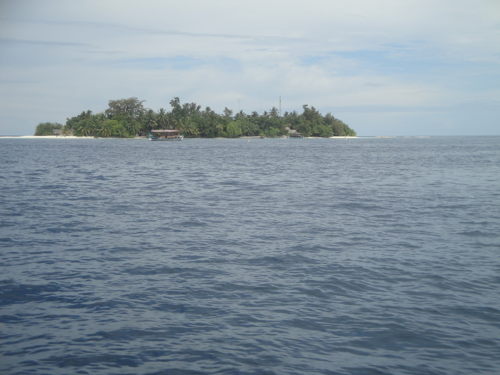 DSC01395.JPG