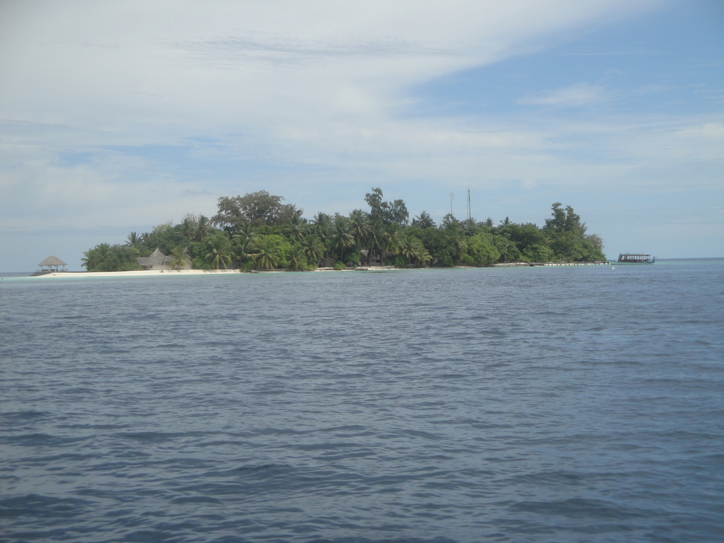 DSC01396.JPG