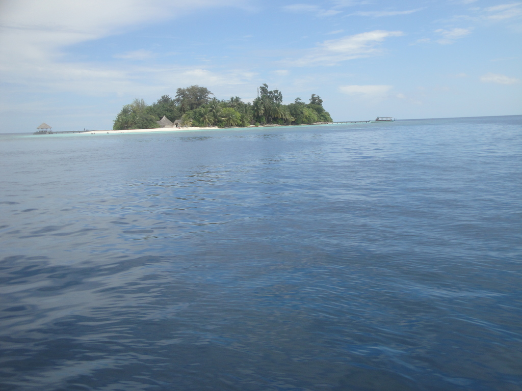 DSC01397.JPG