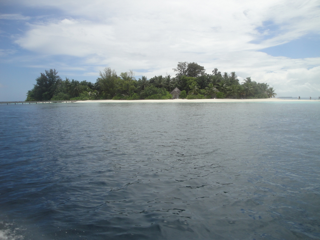 DSC01400.JPG