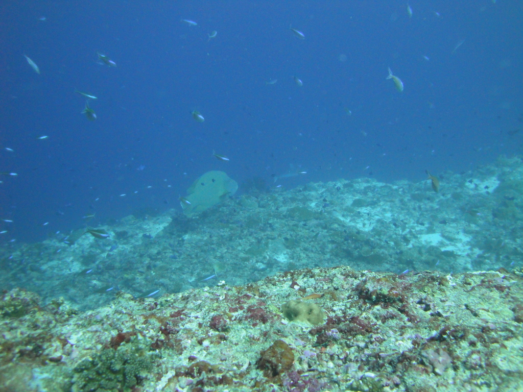 DSC01402.JPG
