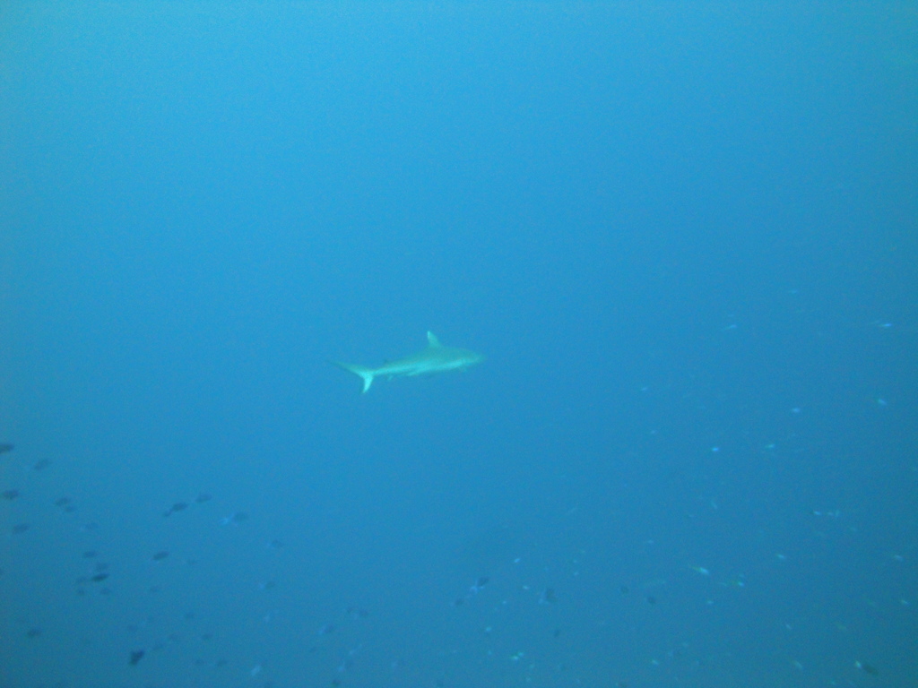 DSC01405.JPG