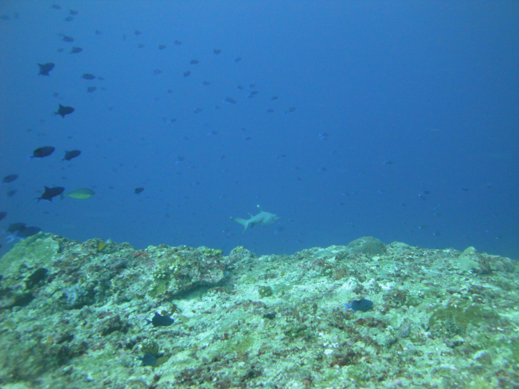 DSC01408.JPG