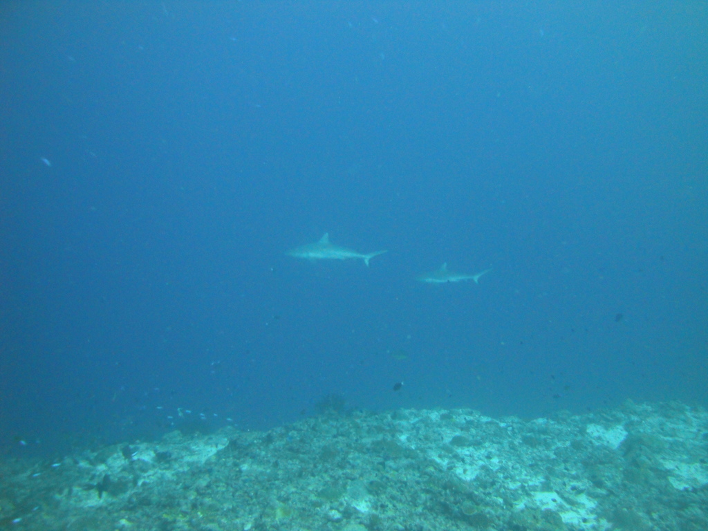 DSC01430.JPG