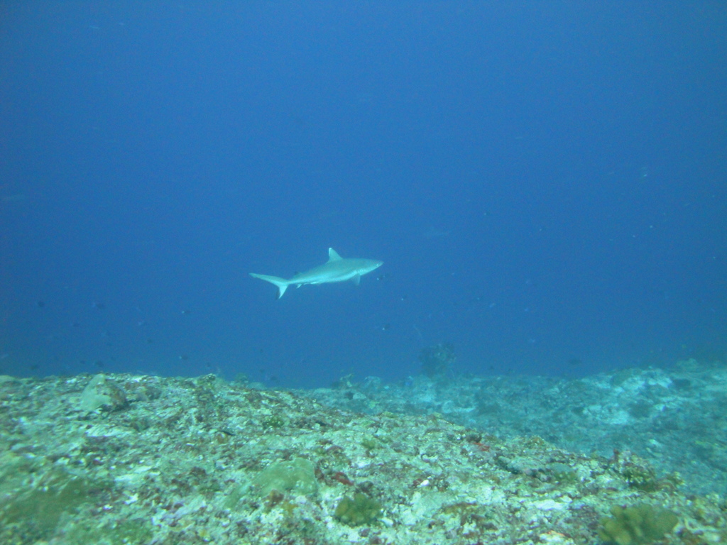 DSC01451.JPG