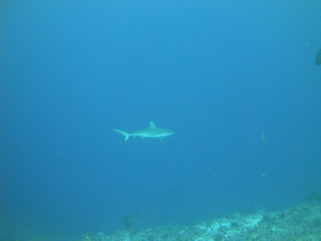 DSC01485.JPG