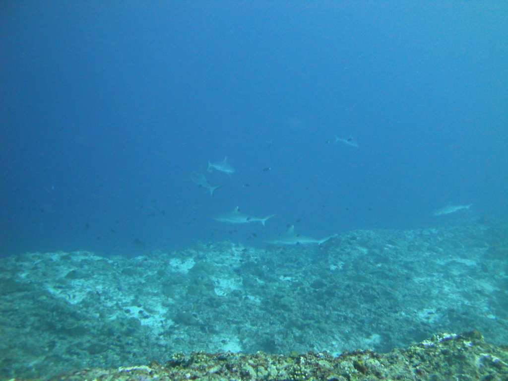 DSC01496.JPG