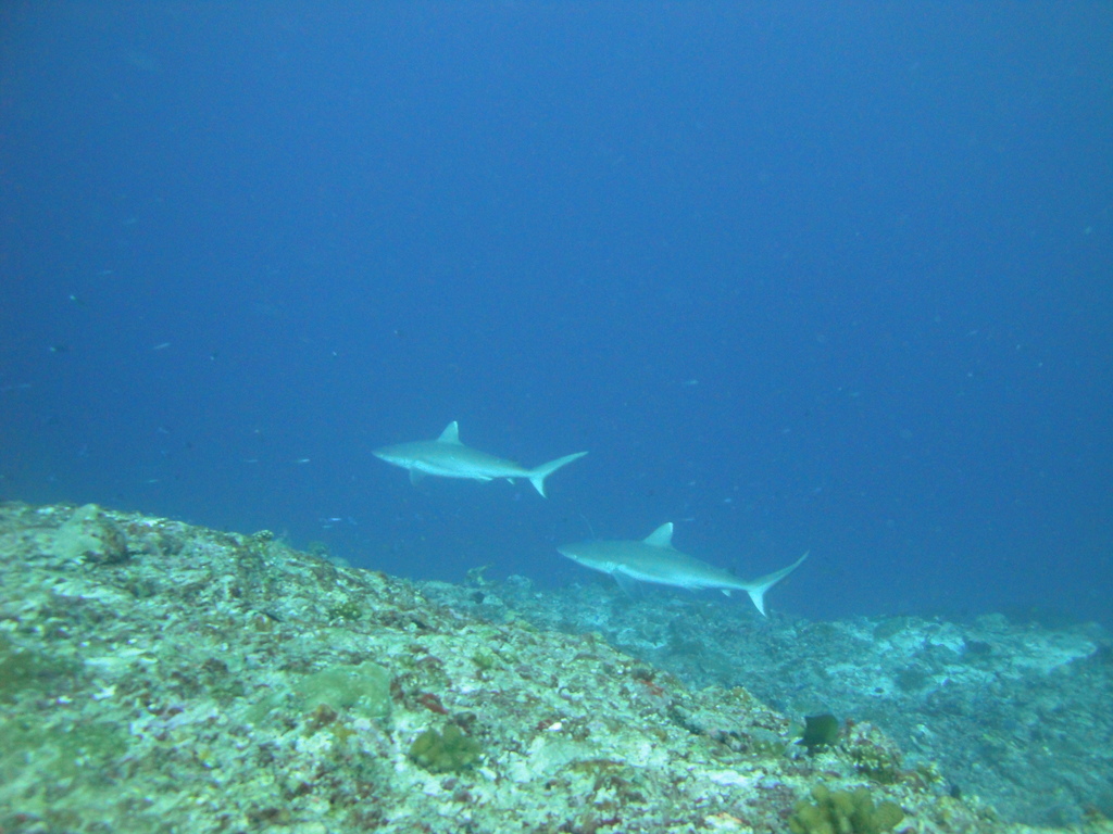 DSC01502.JPG