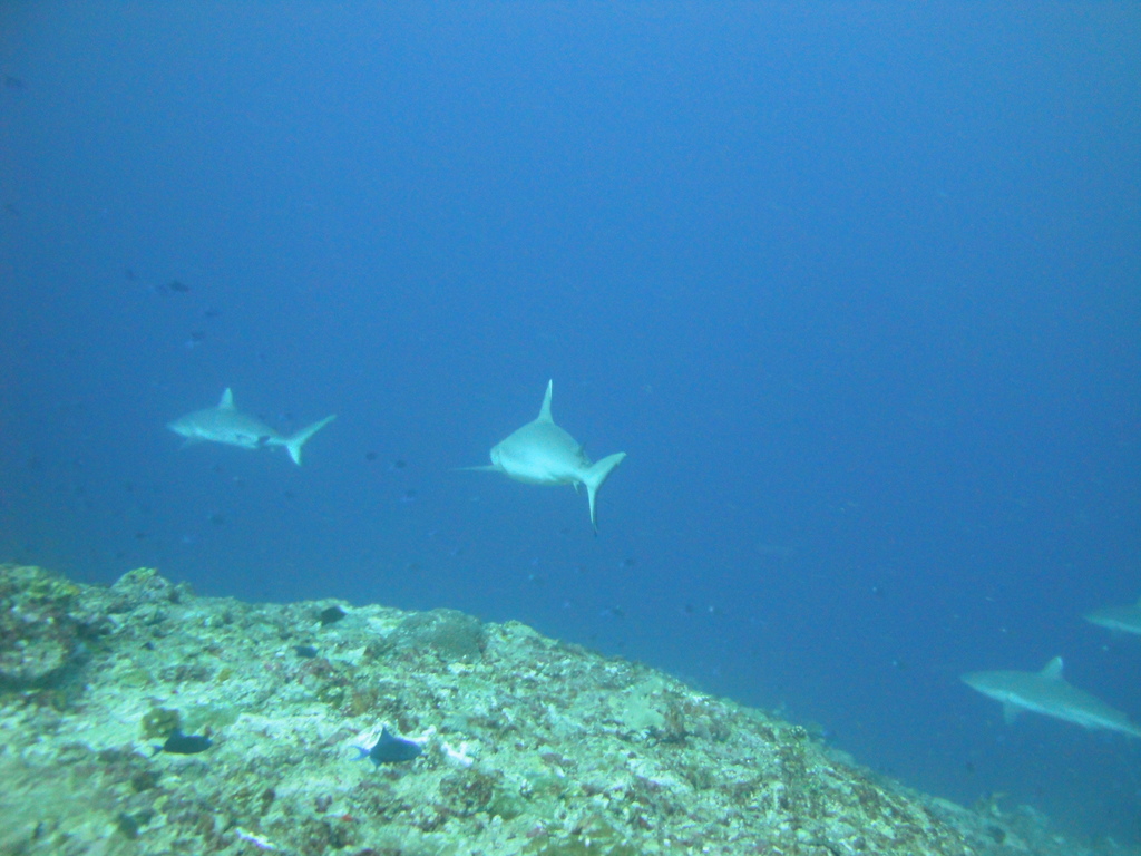 DSC01512.JPG