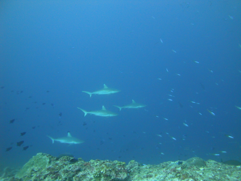 DSC01519.JPG