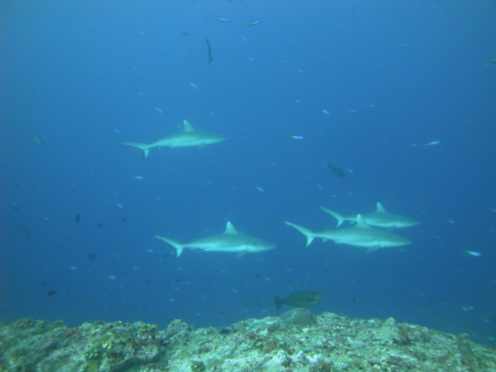 DSC01527.JPG
