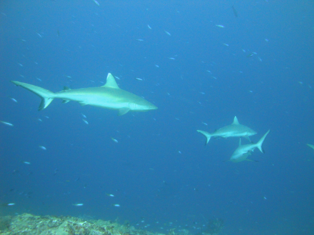 DSC01534.JPG