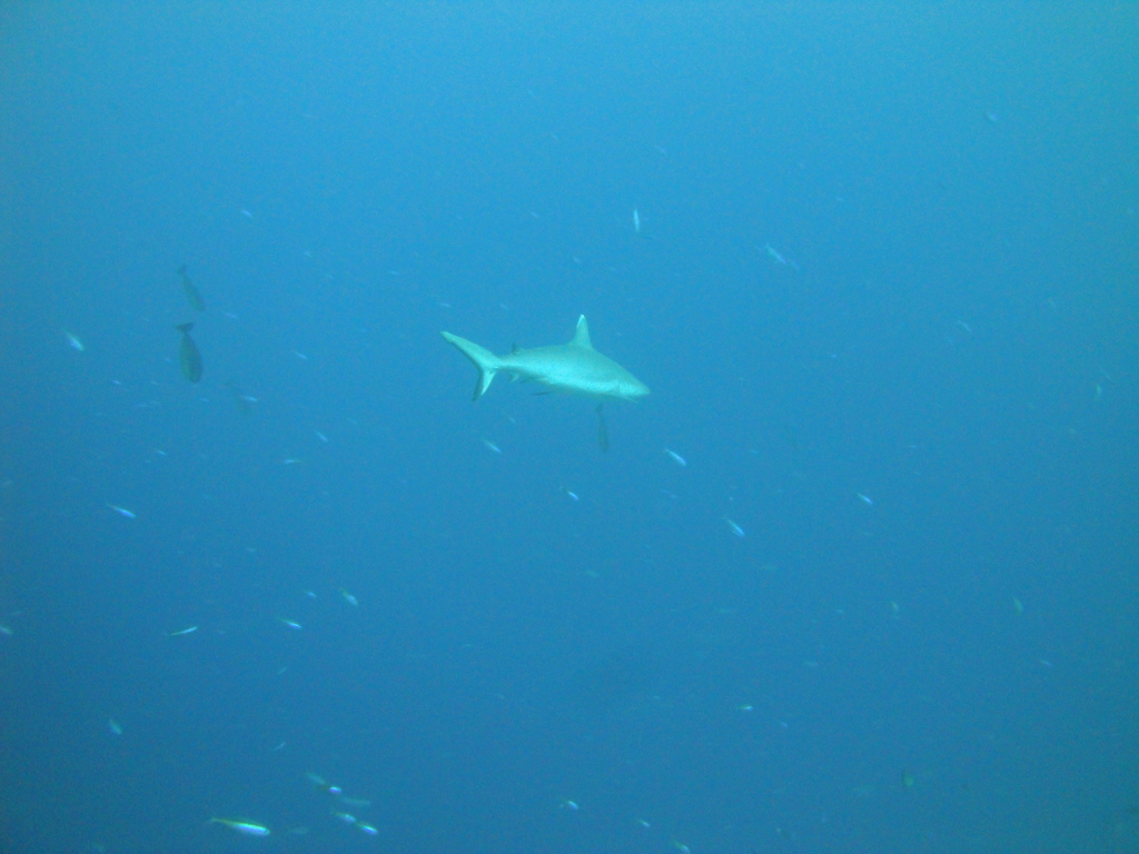 DSC01538.JPG