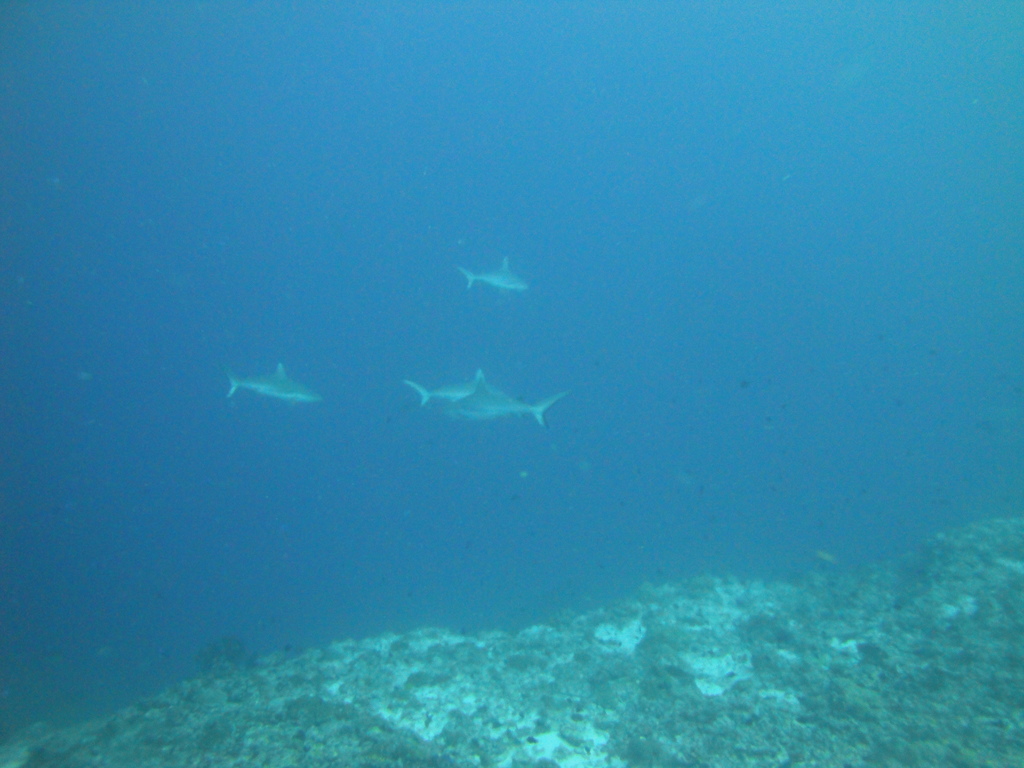 DSC01544.JPG